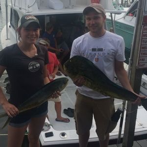 Meet your Posher, Matt